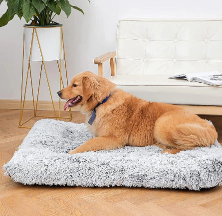 Plush Square Pet Bed Wave Memory Foam