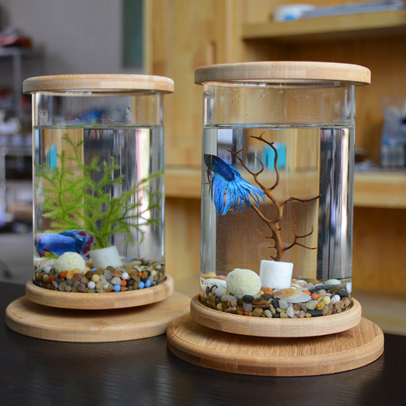 Bamboo Base Mini Fish Tank