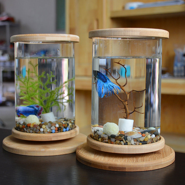 Bamboo Base Mini Fish Tank