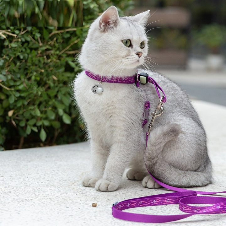 Pet Cat Bell Chest Strap