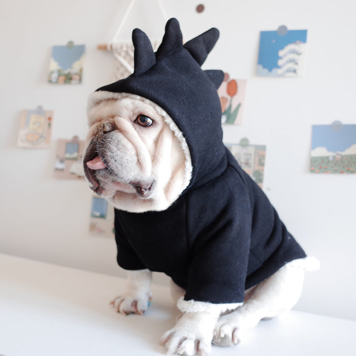 Winter Warm Dinosaur Hooded Sweater