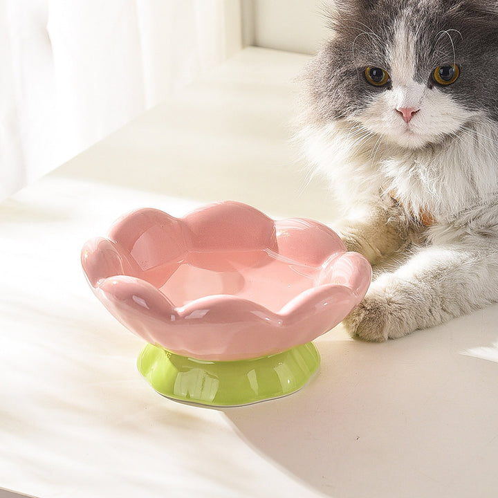 Ceramic Raised Cat Bowl Shallow Wide